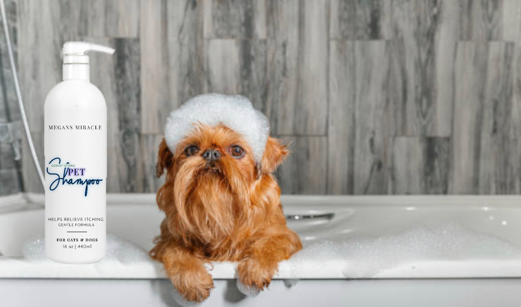 Honeybee Pet Shampoo