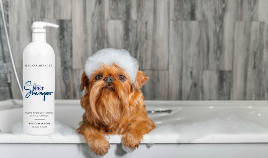 Honeybee Pet Shampoo
