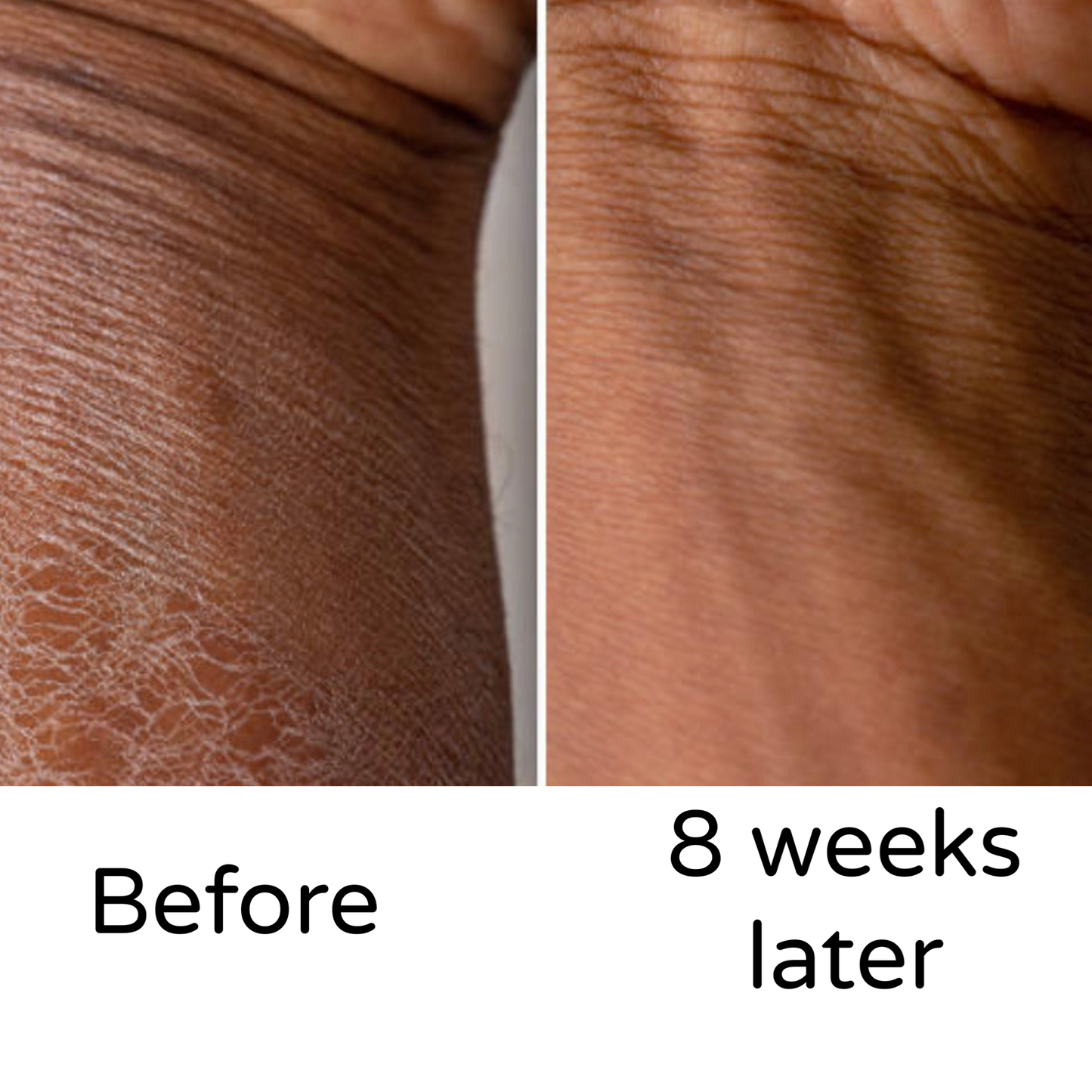 Honeybee Body Wash