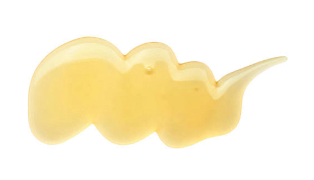 Honeybee Conditioning Shampoo