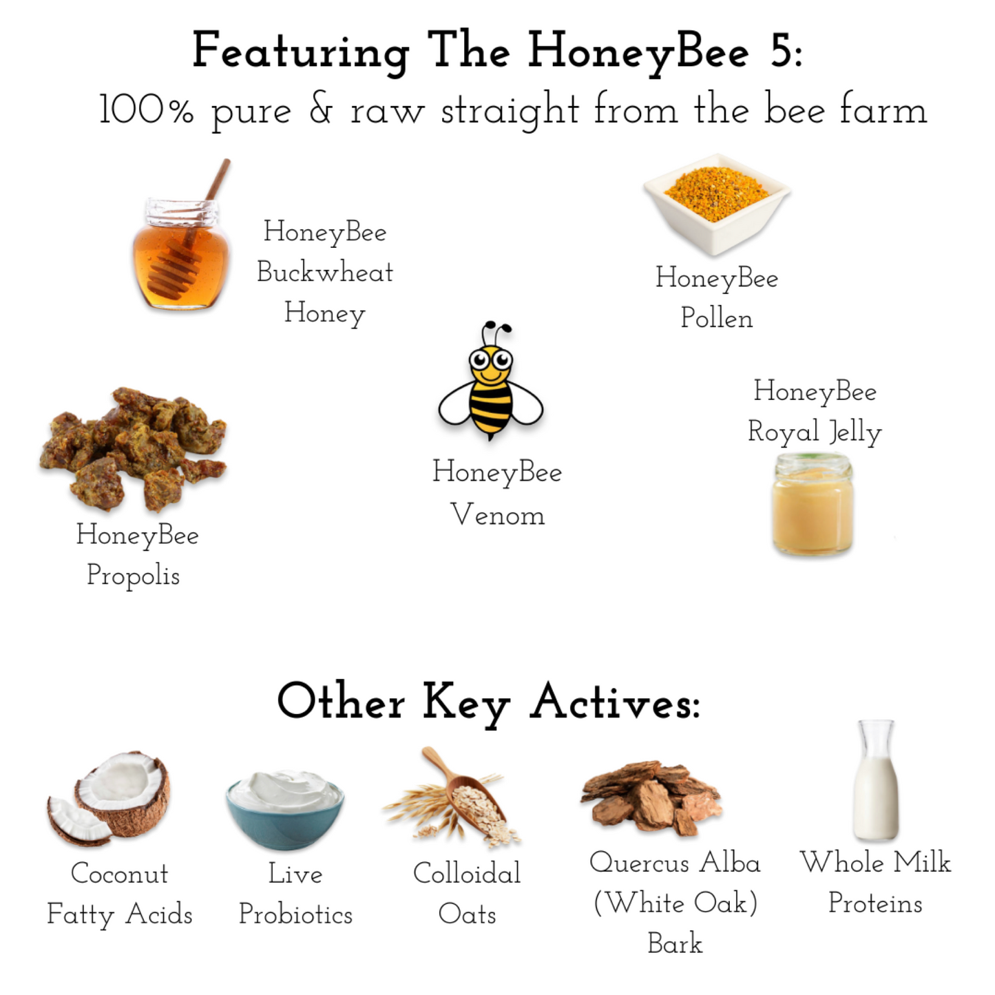 Honeybee Conditioning Shampoo