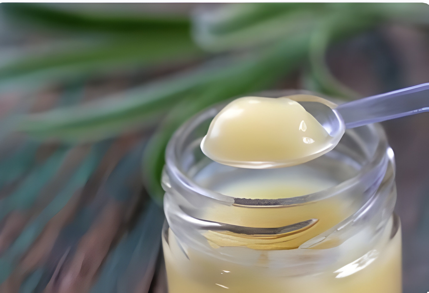 Honeybee Royal Jelly Raw