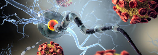 How Medications Sabotage Your Immune System and Natural Ways to Reclaim Your Health